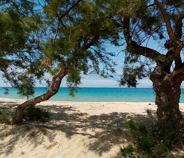 Vallée de la Restonica et lacs